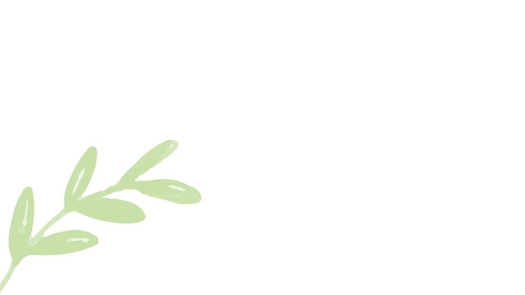 shopviets.com