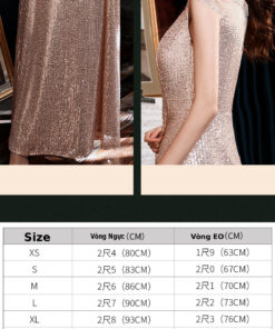 Mua đầm dạ hội cao cấp - VDH114 (5)