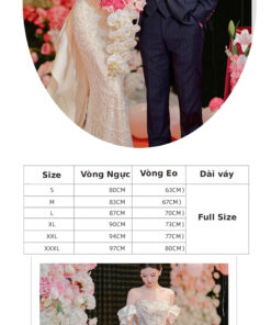 Đầm Dạ Hội Cao Cấp Hà Nội TPHCM - VDH139 (2)