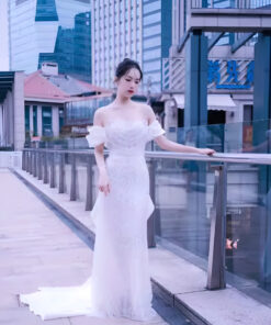 Đầm Dạ Hội Cao Cấp Hà Nội TPHCM - VDH139 (2)