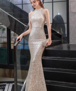 Mẫu đầm dạ hội cao cấp đầm dự tiệc sang trọng - VDH157 (1)