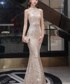 Mẫu đầm dạ hội cao cấp đầm dự tiệc sang trọng - VDH157 (1)