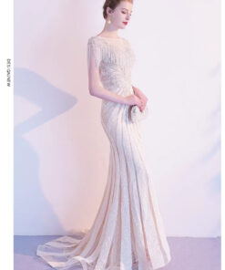 Đầm dạ hội dài sang trọng Shopviets - VDH191 (1)