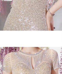 Đầm dạ hội tuổi trung niên cao cấp - VDH193 (2)