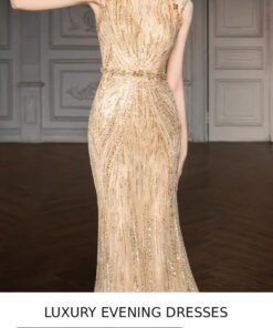 Địa chỉ bán đầm dạ hội cao cấp Shopviets - VDH201 (2)