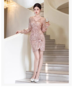 Mẫu đầm dạ hội cao cấp Shopviets - VDH190 (5)