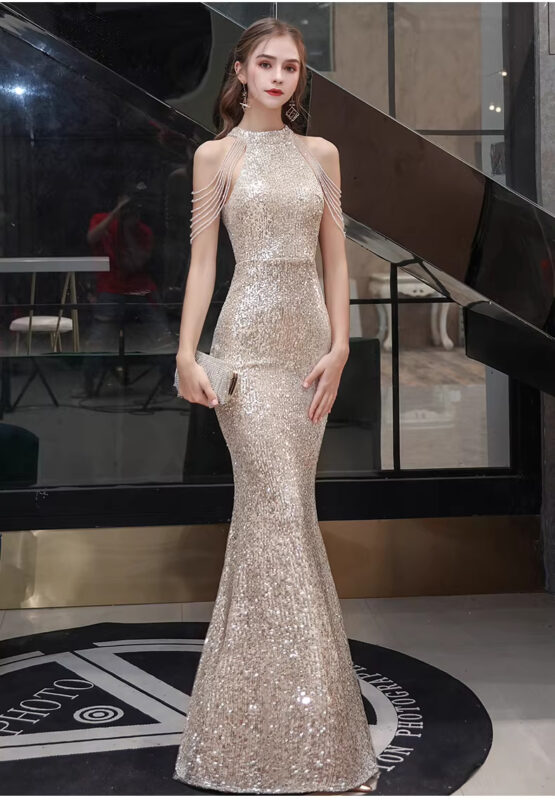 Mẫu đầm dạ hội cao cấp đầm dự tiệc sang trọng - VDH157 (5)