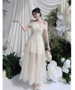 Đầm dạ hội sang trọng dự tiệc chất ren phối lưới - DHLK21 (4)